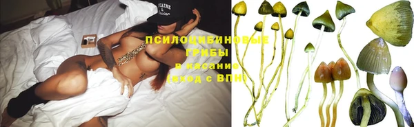 гашиш Белокуриха