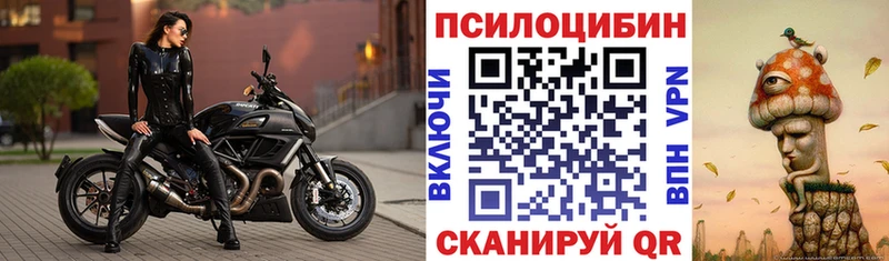 Псилоцибиновые грибы GOLDEN TEACHER  Буинск 